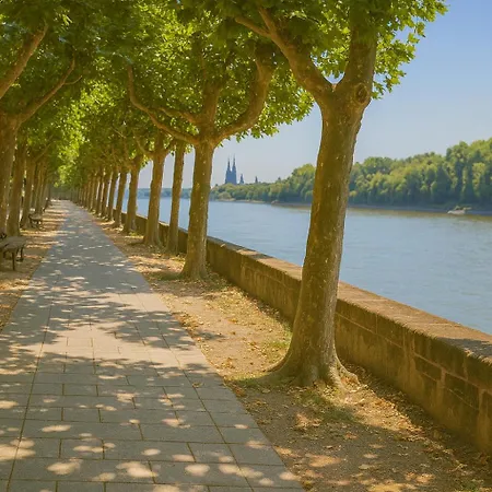 마인처 호프 호텔