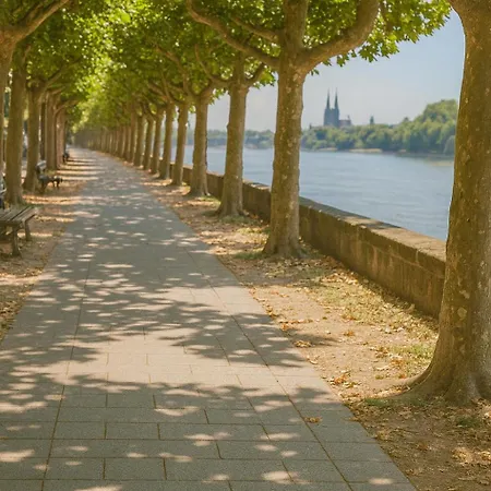 마인처 호프 호텔 3*