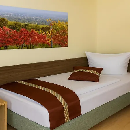 마인처 호프 마인츠