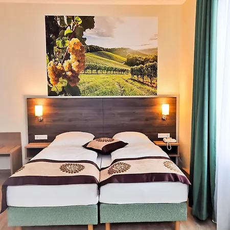 Mainzer Hof 3* Майнц