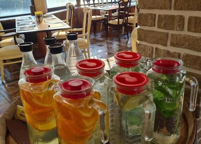 Mainzer Hof Hotel Mayence